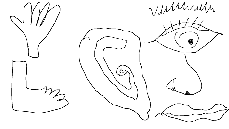 Body Parts